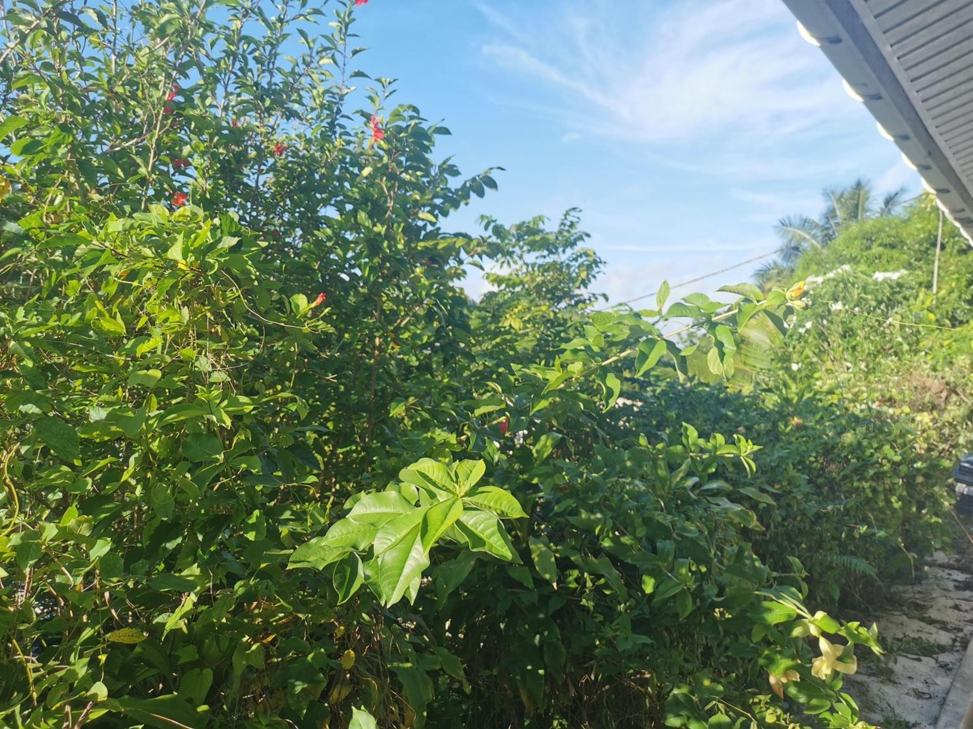 Fare Kairos Apartment Uturoa Bagian luar foto